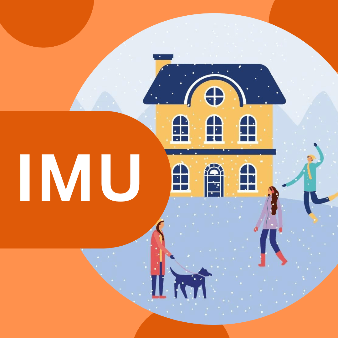 IMU